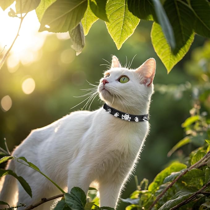 EXPAWLORER Leather Cat Collar for Girl Boy- Adjustable Pet Collar - Image 8