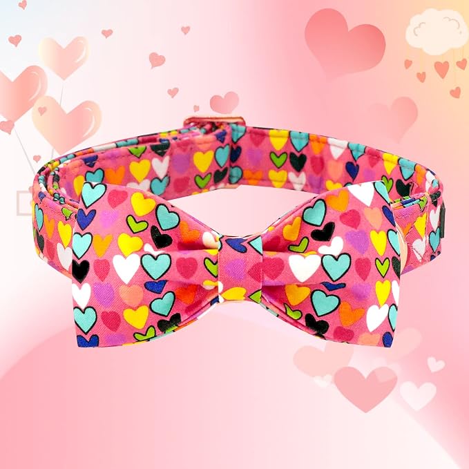 Lionheart glory Valentine's Dog Collar, Dog Collars - Image 3