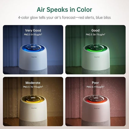 Air Purifier with PM2.5 Real-Time Display & Air Quality Monitor, All-in-One - Image 2