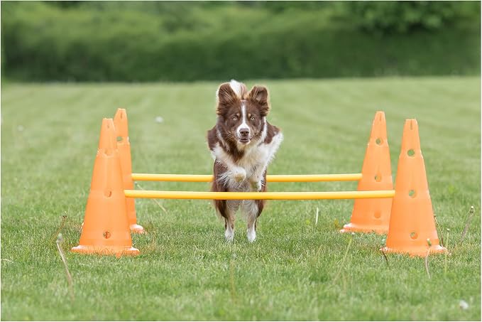 TRIXIE Dog Agility Hurdle Cone Set – Dog Agility Set - Image 2