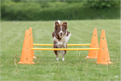 TRIXIE Dog Agility Hurdle Cone Set – Dog Agility Set - Image 2