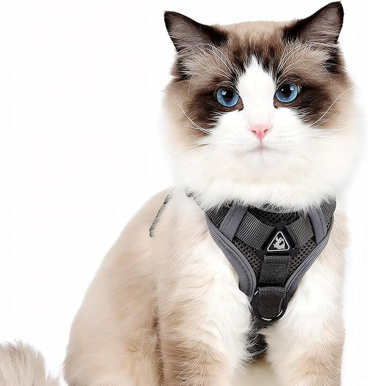 Cat Harness and Leash for Walking, Escape Proof Soft Adjustable Vest Harnesses by Jiiberl