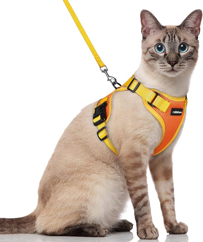 rabbitgoo Cat Harness and Leash Set, Escape Proof Soft Adjustable Vest Harnesses by rabbitgoo