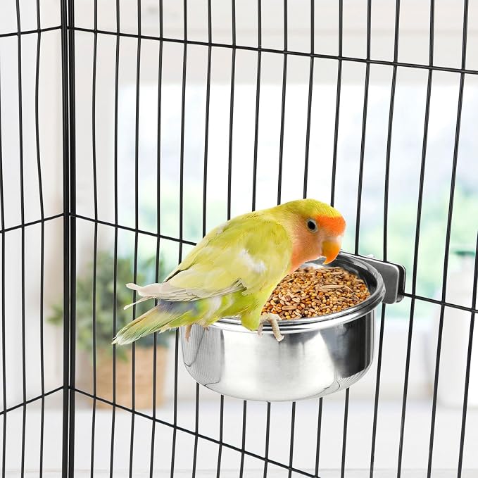Hypeety Pet Bird Food Feeding and Drinking Hanging Cup Clamp Holder Stainless - Image 5