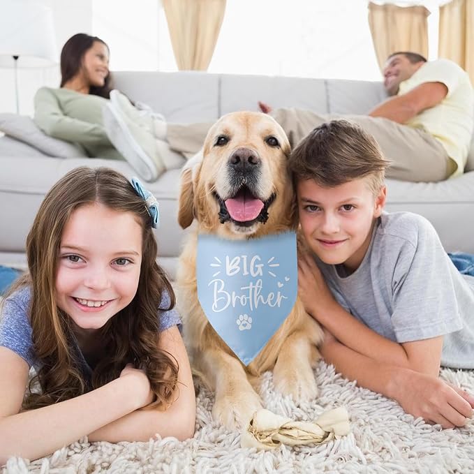 Big Brother Dog Bandana Pregnancy Announcement Gender Reveal Baby Announcement - Image 6