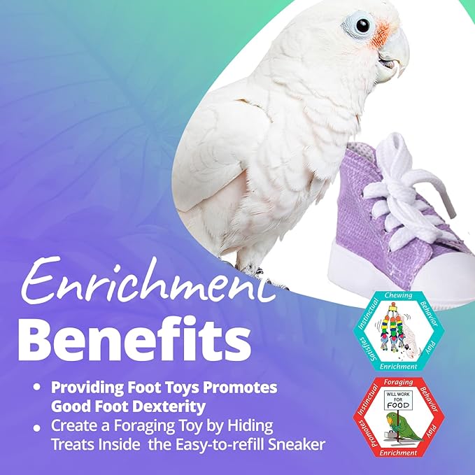 Super Bird Creations SB50010 Sneaker Bird Toy - Image 5