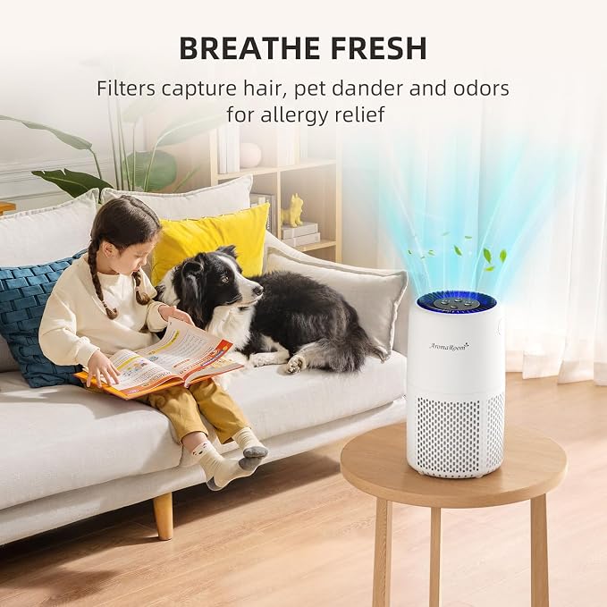 Air Purifier for Home Bedroom, AromaRoom H13 HEPA Air Filter For Smoke Pollen - Image 8