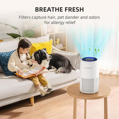 Air Purifier for Home Bedroom, AromaRoom H13 HEPA Air Filter For Smoke Pollen - Image 8