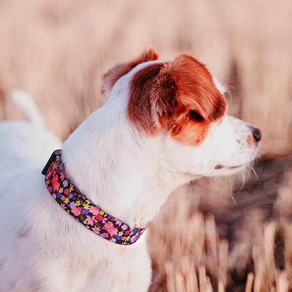 QQPETS Adjustable Soft Dog Collar: Print Flower Pink Multicolor Cute Patterns - Image 6