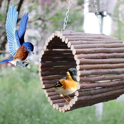 Bird Parrot Swing Toys, Hanging Bird Tree Caves, Natural Apple Wood Parrot - Image 2