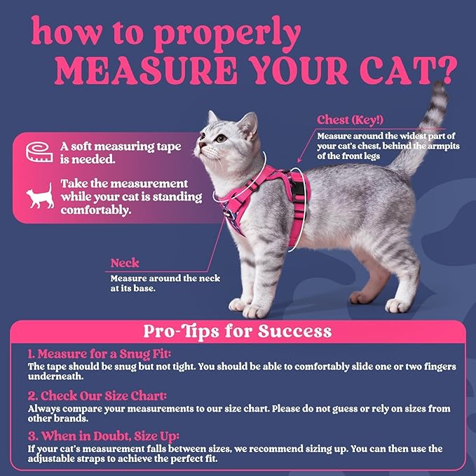 rabbitgoo Cat Harness and Leash - Image 2