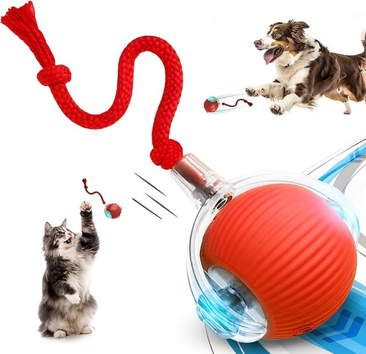 Speedy Tail 2.0 Cat Toy, 360°Automatic Rolling Ball, Smart Interactive Cat Toy by MARDYNUS