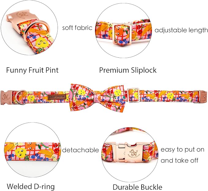 Elegant little tail Dog Collars - Image 2