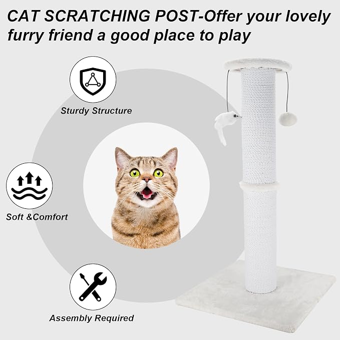 Cat Scratching Post 34 Inches Heavy Duty and Thicker Cat Scratching Post Sisal - Image 5