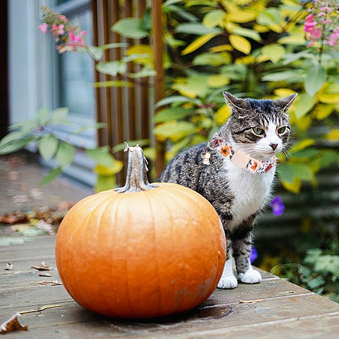 Elegant little tail Fall Cat Collar-2 Pack Pumpkin - Image 4