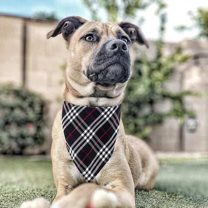 Yizepet Dog Collar with Bow Tie- Adjustable pet Collar - Image 5