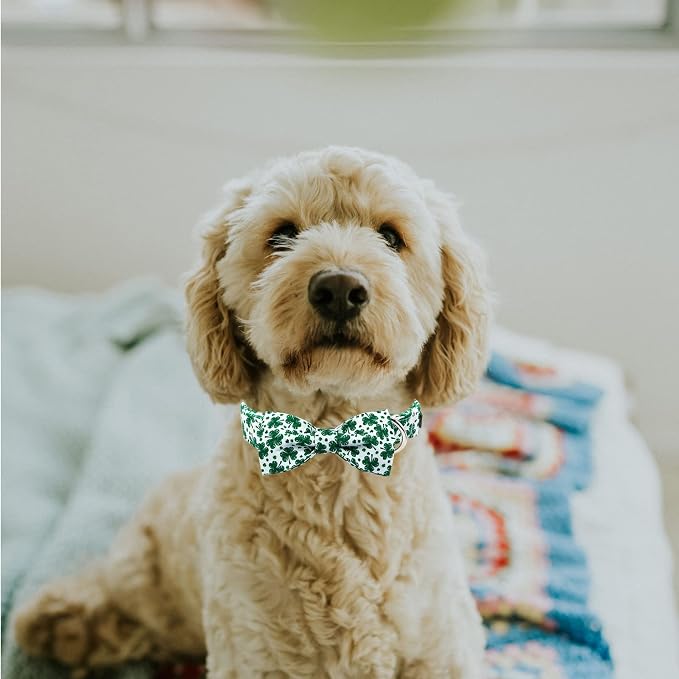 MR. CHUBBYFACE St.Patrick's Day Dog Collar Green Clovers Adjustable Dog Collar - Image 5