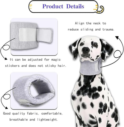 Cat Cone Collar for Pet with Spinal IVDD Issues After Surgery Recovery - Image 3