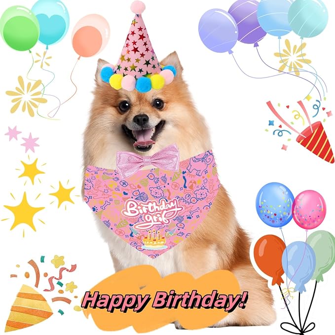 Happy Birthday Dog Party Supplies Kit - Image 5