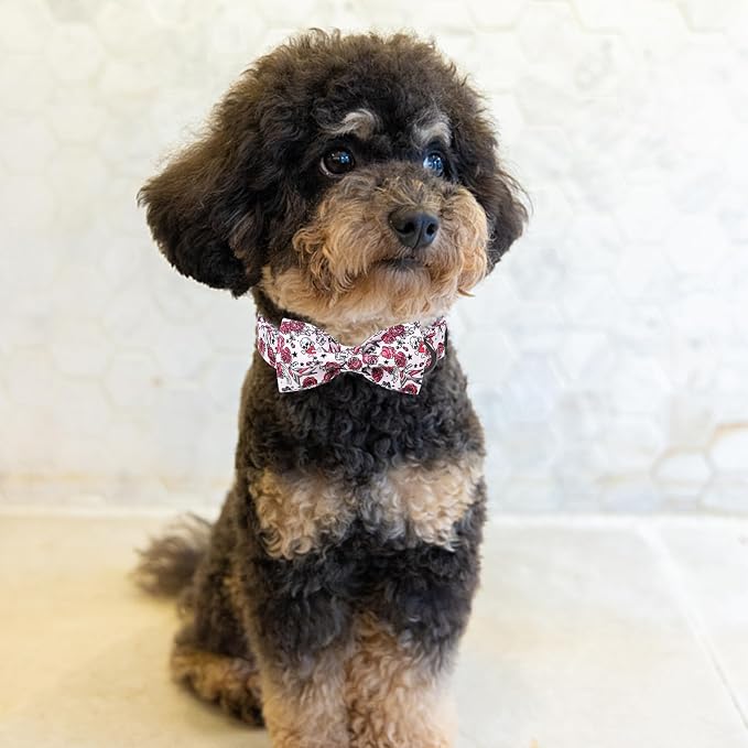 MR. CHUBBYFACE Valentine's Dog Collar - Image 4