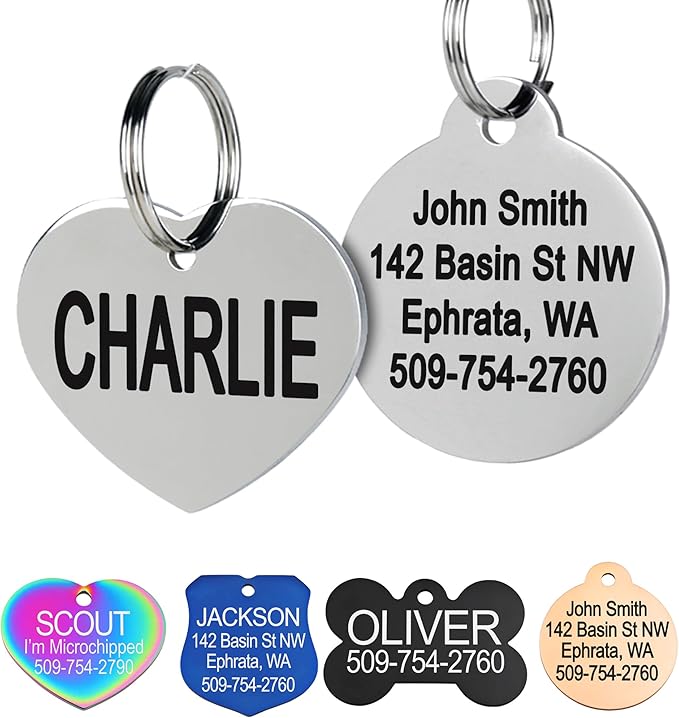 GoTags Stainless Steel Pet ID Tags, Personalized Dog Tags and Cat Tags by GoTags