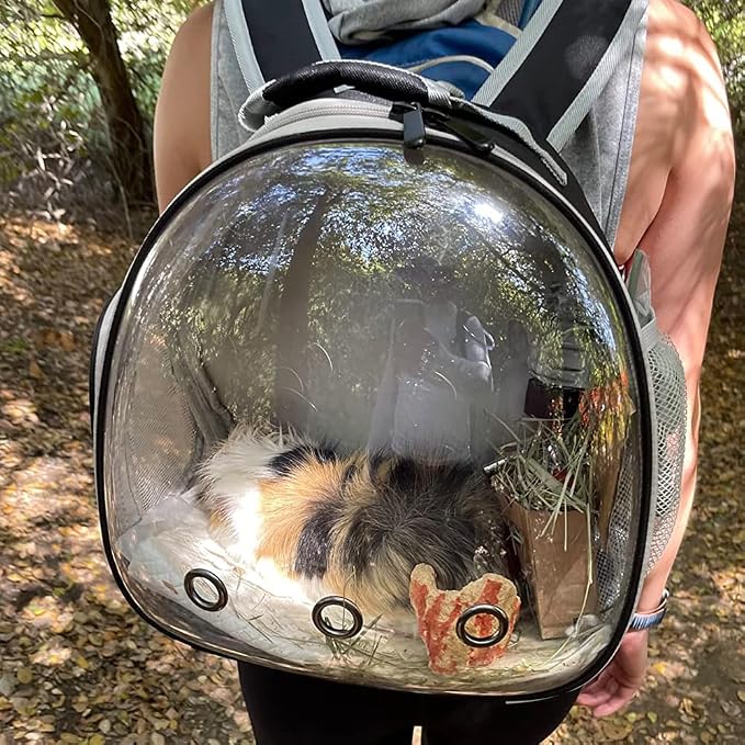 Guinea Pig Backpack Carrier, Bearded Dragon Carrier Backpack - Image 7