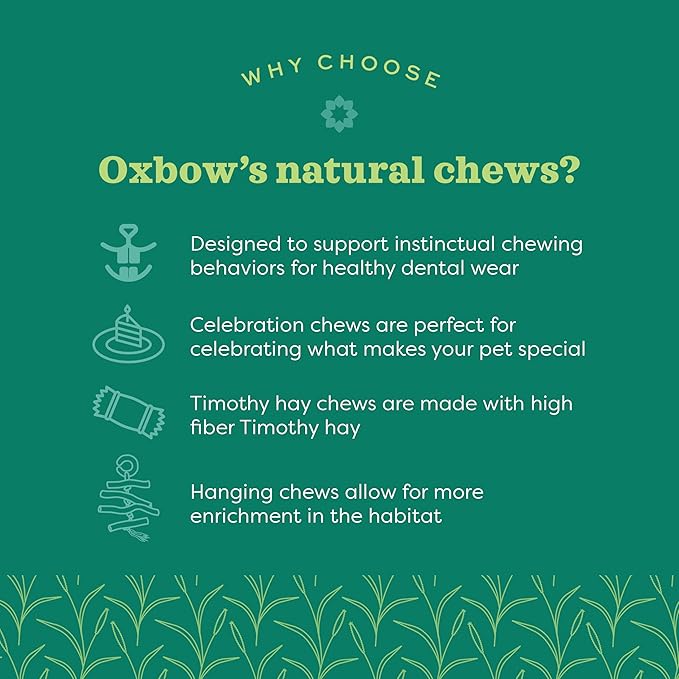 Oxbow Enriched Life Natural Dangly Party Pack, Rabbit Toys, Guinea Pig Toys - Image 4