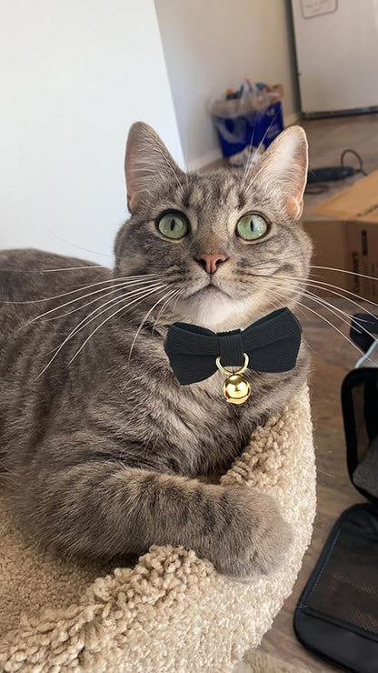 Cotton Breakaway Cat Collar - Image 5