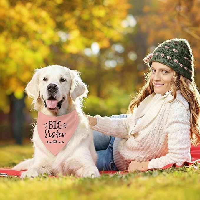 Big Sister Dog Bandanas, Pet Dog Triangle Scarf - Image 5