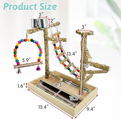 PINVNBY Bird Playground Natural Wood Bird Play Stand - Image 2