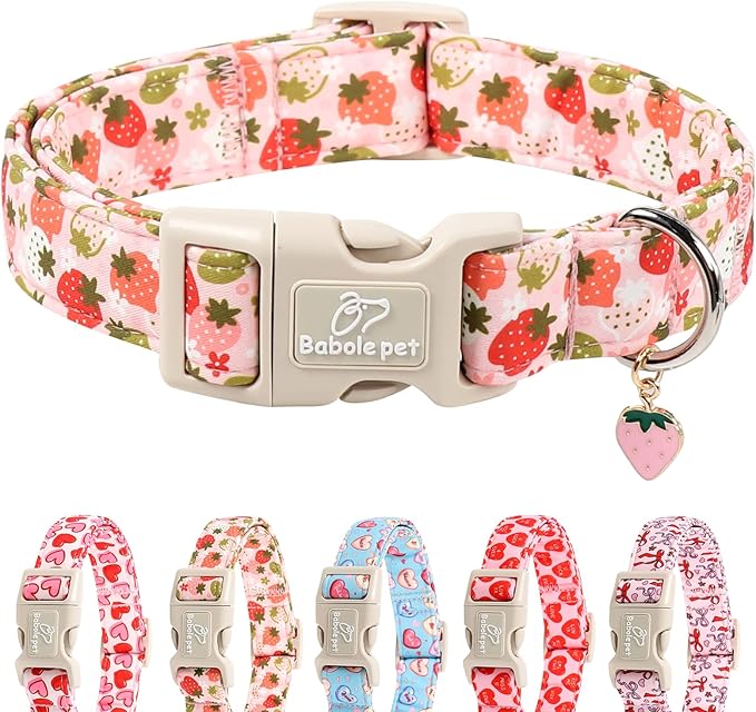 Strawberry Dog Collar for Small Dogs by Babolepet