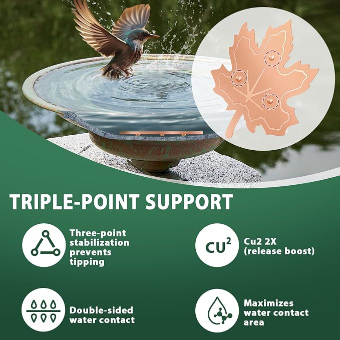 99.99% Pure Copper Bird Bath Disk, 2 Pack 0.6mm Maple Leaf Bird Bath - Image 4
