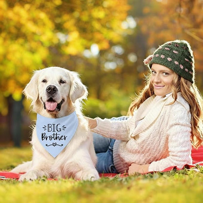 Big Brother Dog Bandanas, Pet Dog Triangle Scarf - Image 5