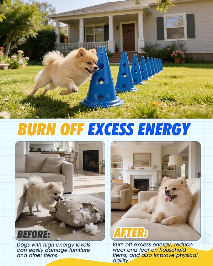 Dog Agility Hurdle Cone Set, Dog Agility Course Backyard Set - Image 4