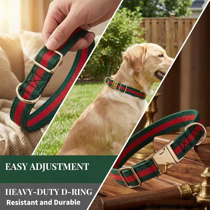 Premium Dog Collar, Cute Dog Collars Luxury Style, Durable Pet Collars - Image 3
