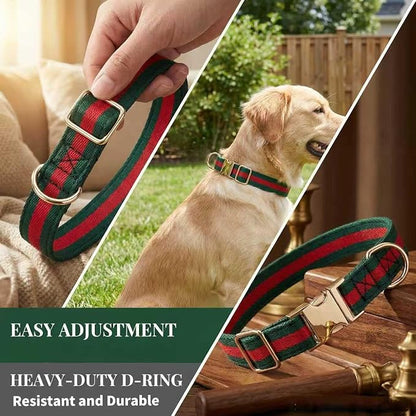 Premium Dog Collar, Cute Dog Collars Luxury Style, Durable Pet Collars - Image 3
