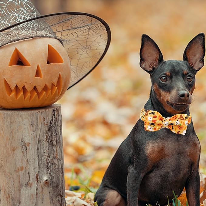 Halloween Dog Collar, Pet Collar Bow Fall Puppy Collar Girl Boy Holiday Pet - Image 6