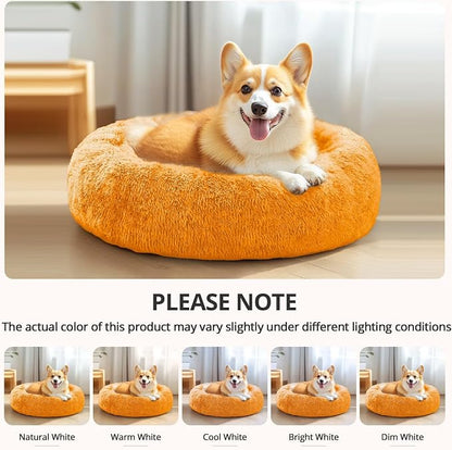 JOLLYVOGUE Calming Dog Bed for Small Dogs - Image 8