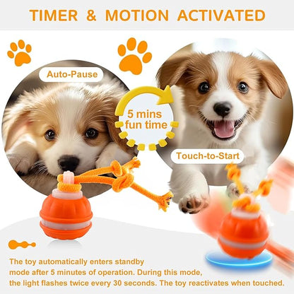2Paks Interactive Dog Toys，Peppy Pet Ball - Image 6