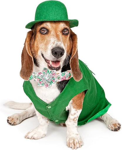 Lionheart glory St. Patrick's Day Dog Collar - Image 5