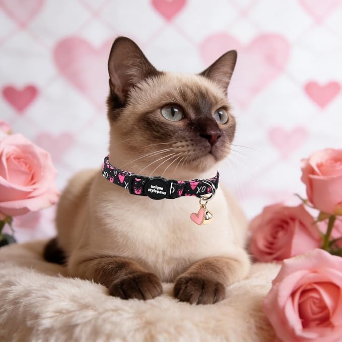 Unique style paws 2 Pack Valentine Kitten Collar Breakaway - Image 6