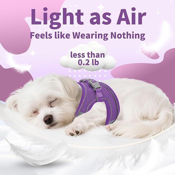 AIITLE Dog Harness, No-Pull Cat Harness - Image 7