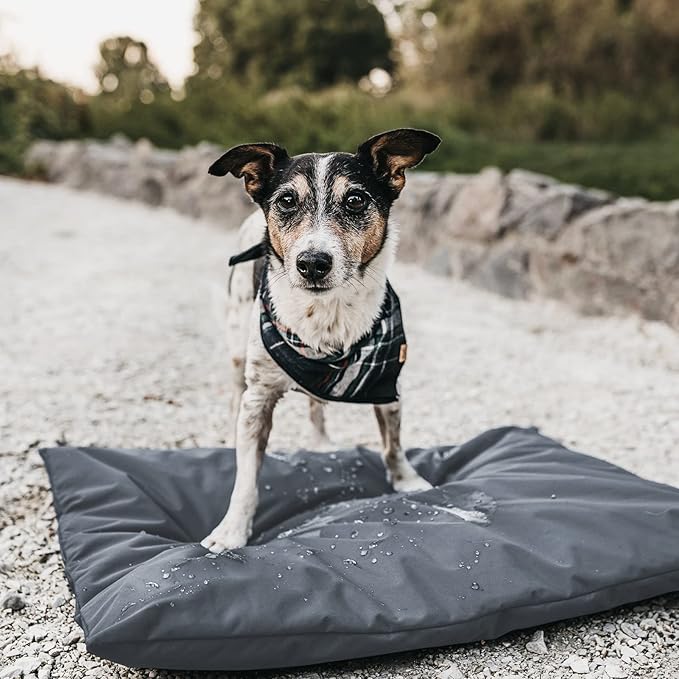 Dog Bed Cover for 36" L 27" W 3" H - Image 6