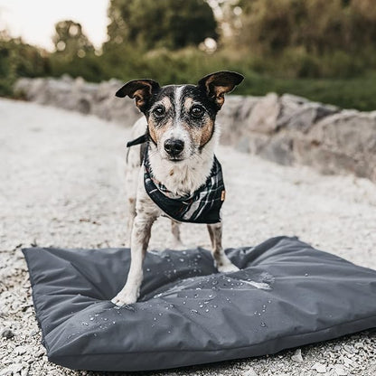 Dog Bed Cover for 44" L 32" W 4" H - Image 6