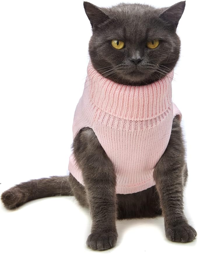Stretchy Cat Sweater - Image 2
