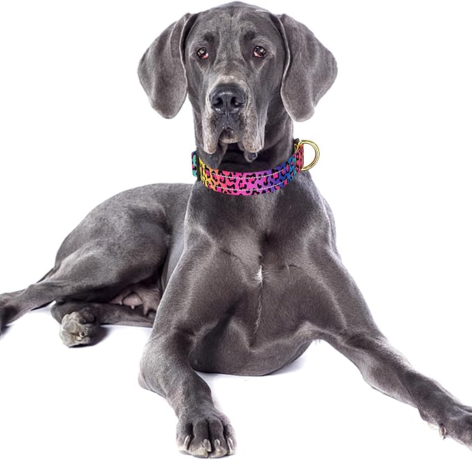 Reflective Dog Collar for Large Dogs, Cute Leopard Style Adjustable Heavy-Duty - Image 2