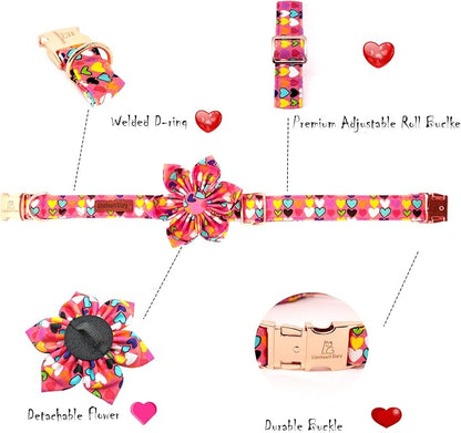 Lionheart glory Easter Dog Collar - Image 4