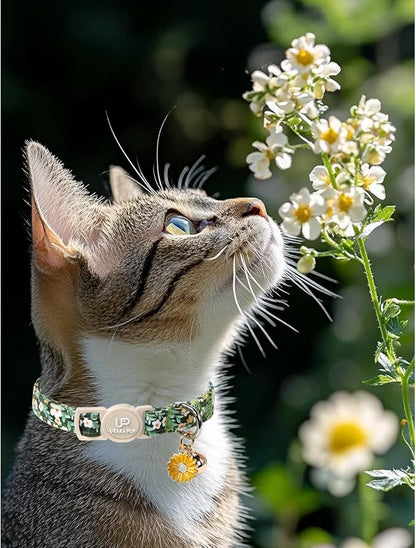 Cat Collar, Pretty Flower Kitten Collars - Image 4