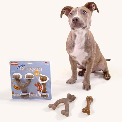 Nylabone Gourmet Style Femur & Wishbone Strong Chew Toy - Image 2