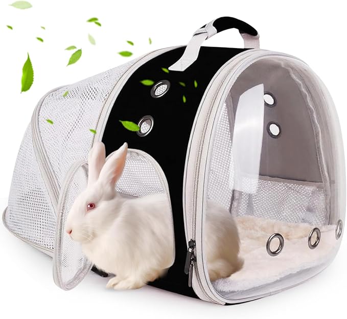 Back Expandable Backpack for Small Animals, Portable Travel Bag Breathable Pet by LightUpYourPetsLife